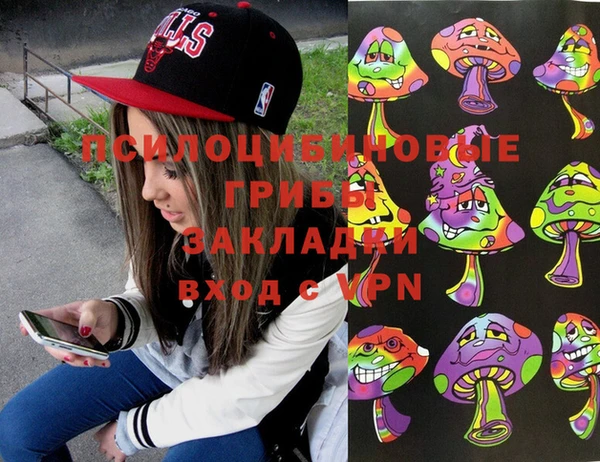 apvp Богданович