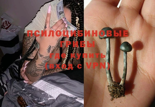 apvp Богданович