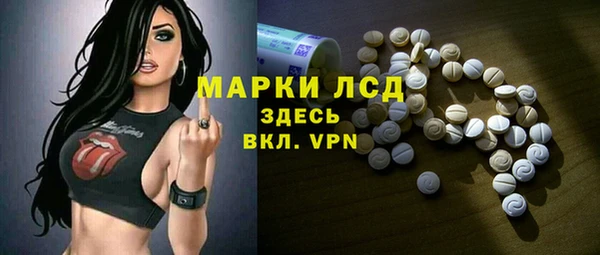 спиды Богородицк