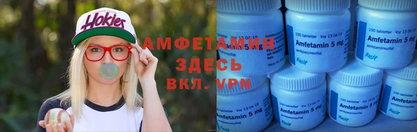 спиды Богородицк