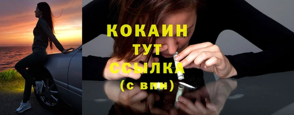 спиды Богородицк