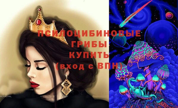 сатива Белокуриха